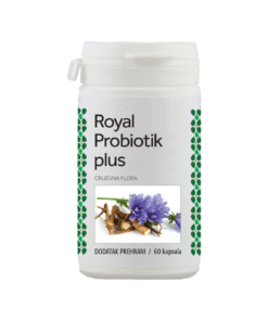 Royal Probiotik plus kapsule RL-77